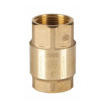 Válvula de retención check